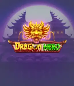 Enter a fantastic quest with the Dragon Hero game by Pragmatic Play, highlighting breathtaking visuals of powerful dragons and heroic battles. Venture into a realm where legend meets excitement, with featuring treasures, mystical creatures, and enchanted weapons for a captivating slot experience.